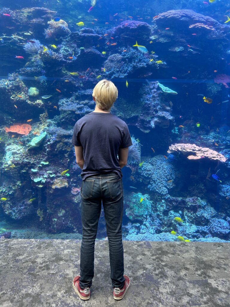 Georgia Aquarium Atlanta